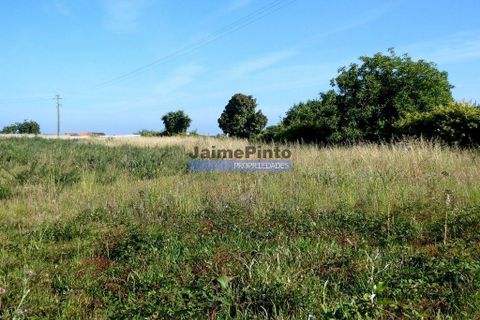 Helårsgrund i Aveiro, Aveiro, Aveiro - € 1.550.000 | Ref: 9924_T - foto 1