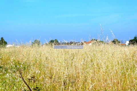 Helårsgrund i Aveiro, Aveiro, Aveiro - € 1.550.000 | Ref: 9924_T - foto 2