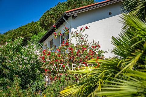 Villa a Dolceacqua, Imperia, Dolceacqua - € 2.200.000 | Ref: 6029 - foto 13