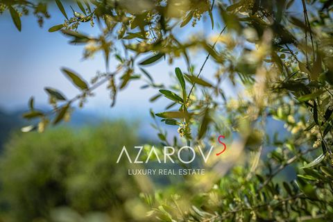 Villa a Dolceacqua, Imperia, Dolceacqua - € 2.200.000 | Ref: 6029 - foto 22
