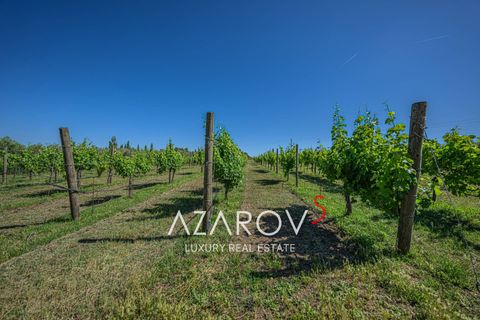 Villa a Viterbo, Viterbo, Viterbo - € 1.670.000 | Ref: 6038 - foto 8
