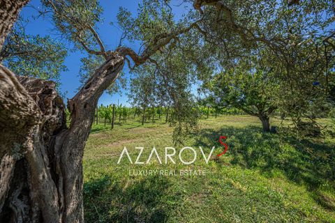Villa a Viterbo, Viterbo, Viterbo - € 1.670.000 | Ref: 6038 - foto 9