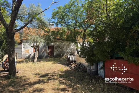 Villa i Palmela, Setubal, Palmela - € 985.000 | Ref: MOR_2914/14154 - foto 27