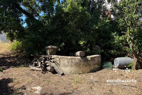 Villa i Palmela, Setubal, Palmela - € 985.000 | Ref: MOR_2914/14154 - foto 31