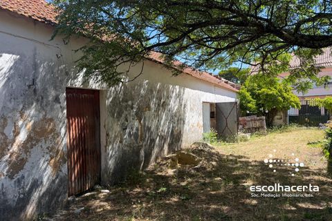 Villa i Palmela, Setubal, Palmela - € 985.000 | Ref: MOR_2914/14154 - foto 34