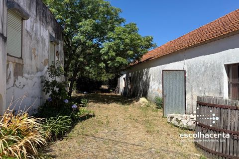Villa i Palmela, Setubal, Palmela - € 985.000 | Ref: MOR_2914/14154 - foto 36