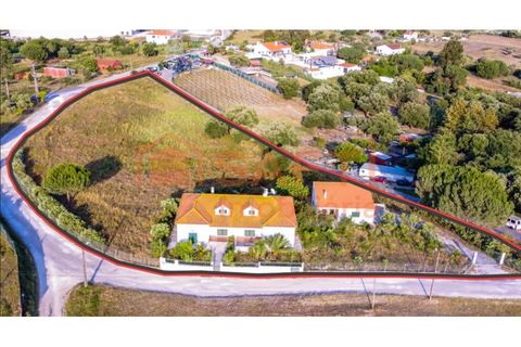 Farm i Pontevel, Santarem, Pontevel - € 450.000 | Ref: SAFTI:008312 - foto 2