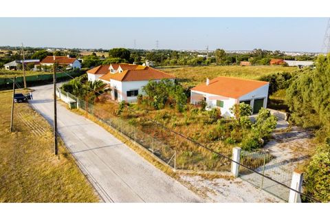 Farm i Pontevel, Santarem, Pontevel - € 450.000 | Ref: SAFTI:008312 - foto 5