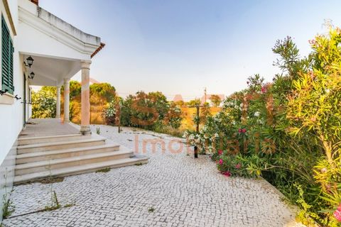 Farm i Pontevel, Santarem, Pontevel - € 450.000 | Ref: SAFTI:008312 - foto 29