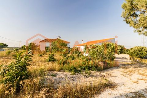 Farm i Pontevel, Santarem, Pontevel - € 450.000 | Ref: SAFTI:008312 - foto 31