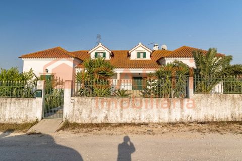 Farm i Pontevel, Santarem, Pontevel - € 450.000 | Ref: SAFTI:008312 - foto 32