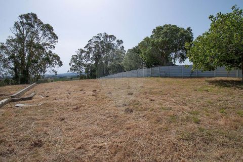 Villa i Bombarral, Leiria, Bombarral - € 449.000 | Ref: 126581021-21 - foto 29