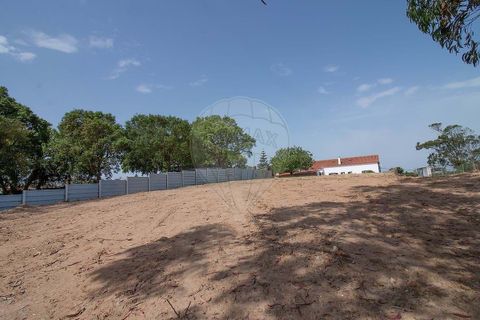 Villa i Bombarral, Leiria, Bombarral - € 449.000 | Ref: 126581021-21 - foto 30