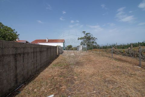 Villa i Bombarral, Leiria, Bombarral - € 449.000 | Ref: 126581021-21 - foto 31