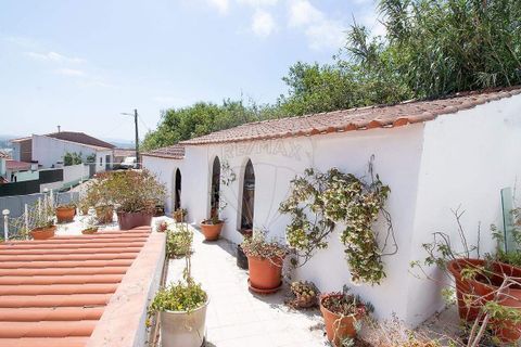Villa i Bombarral, Leiria, Bombarral - € 410.000 | Ref: 126581038-1 - foto 18