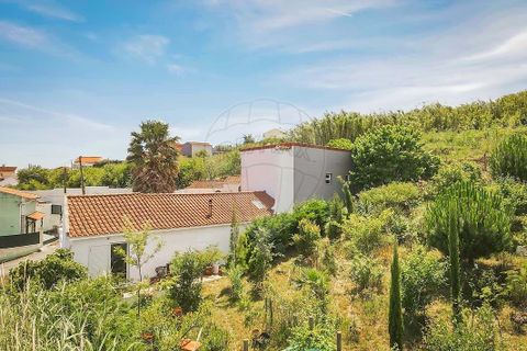 Villa i Bombarral, Leiria, Bombarral - € 410.000 | Ref: 126581038-1 - foto 10