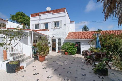 Villa i Bombarral, Leiria, Bombarral - € 410.000 | Ref: 126581038-1 - foto 14