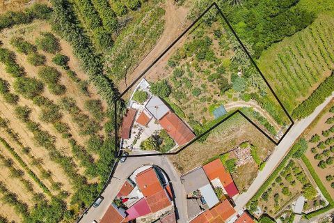 Villa i Bombarral, Leiria, Bombarral - € 410.000 | Ref: 126581038-1 - foto 30