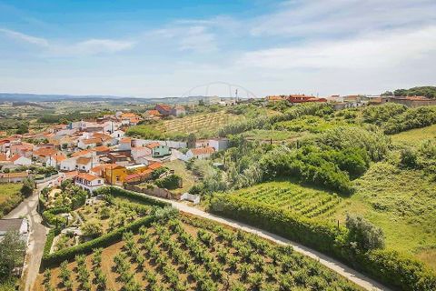 Villa i Bombarral, Leiria, Bombarral - € 410.000 | Ref: 126581038-1 - foto 32