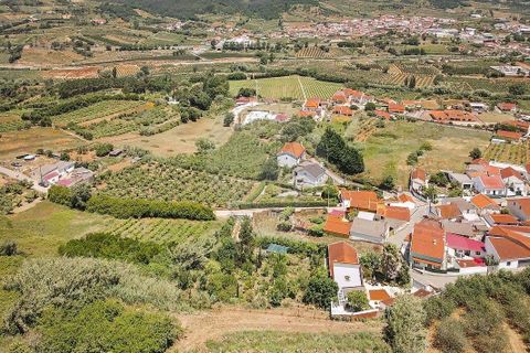 Villa i Bombarral, Leiria, Bombarral - € 410.000 | Ref: 126581038-1 - foto 33