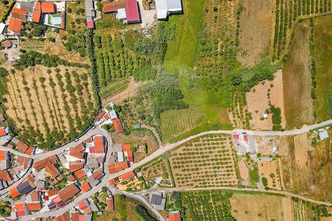 Villa i Bombarral, Leiria, Bombarral - € 410.000 | Ref: 126581038-1 - foto 35