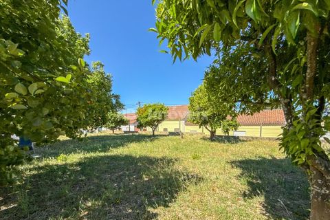 Villa i Olaia e Paco, Santarem, Olaia e Paco - € 380.000 | Ref: 02048-26 - foto 4
