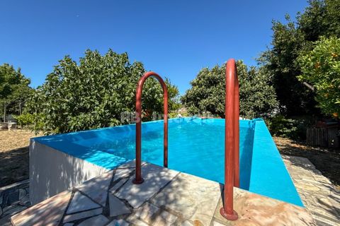 Villa i Olaia e Paco, Santarem, Olaia e Paco - € 380.000 | Ref: 02048-26 - foto 19