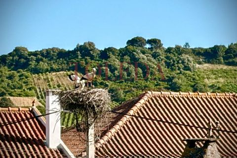 Haus in Azambuja, Lisbon, Azambuja - € 295.000 | Ref: TLD_26172_01 - Foto 32