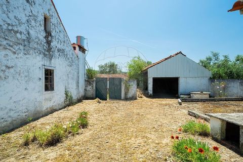 Haus in Tomar, Santarem, Tomar - € 135.000 | Ref: 121701120-237 - Foto 3