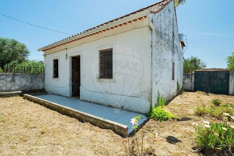 Haus in Tomar, Santarem, Tomar - € 135.000 | Ref: 121701120-237 - Foto 4