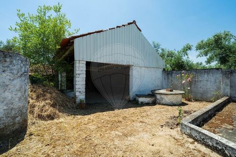 Haus in Tomar, Santarem, Tomar - € 135.000 | Ref: 121701120-237 - Foto 5