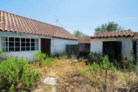 Haus in Tomar, Santarem, Tomar - € 135.000 | Ref: 121701120-237 - Foto 29