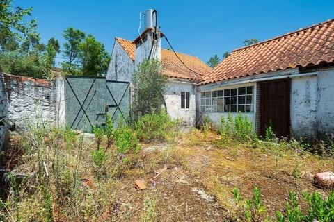 Haus in Tomar, Santarem, Tomar - € 135.000 | Ref: 121701120-237 - Foto 30