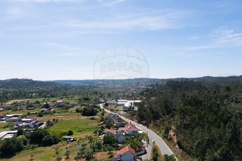 Haus in Tomar, Santarem, Tomar - € 135.000 | Ref: 121701120-237 - Foto 34