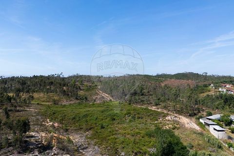 Haus in Tomar, Santarem, Tomar - € 135.000 | Ref: 121701120-237 - Foto 36