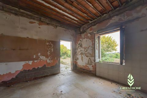 Villa i Pula, Cagliari, Pula - € 175.000 | Ref: GT106 - foto 15