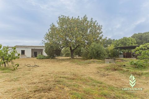 Villa i Pula, Cagliari, Pula - € 175.000 | Ref: GT106 - foto 17
