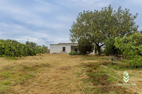 Villa i Pula, Cagliari, Pula - € 175.000 | Ref: GT106 - foto 20