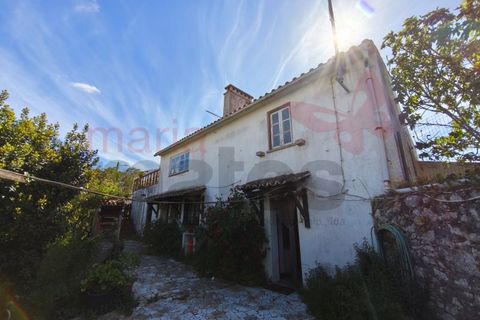 Villa i Lourinha, Lisbon, Lourinha - € 310.000 | Ref: 98384MM - foto 1