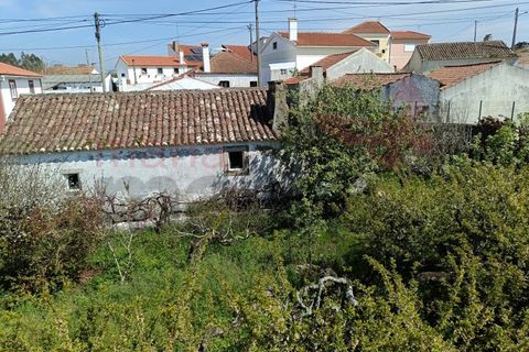 Villa i Lourinha, Lisbon, Lourinha - € 310.000 | Ref: 98384MM - foto 30