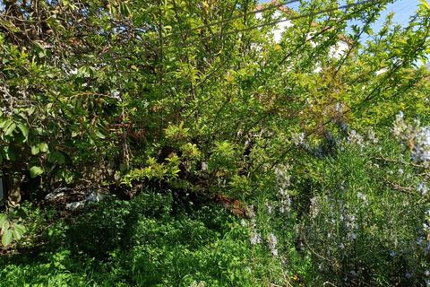 Villa i Lourinha, Lisbon, Lourinha - € 310.000 | Ref: 98384MM - foto 31
