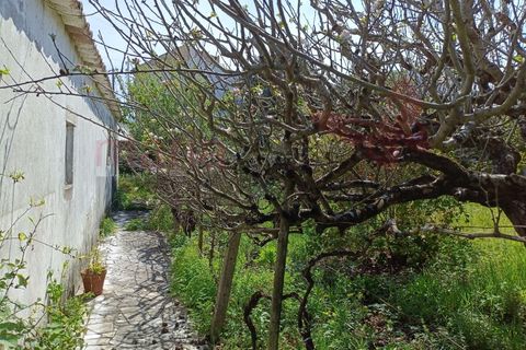 Villa i Lourinha, Lisbon, Lourinha - € 310.000 | Ref: 98384MM - foto 33