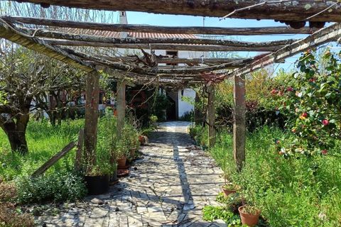 Villa i Lourinha, Lisbon, Lourinha - € 310.000 | Ref: 98384MM - foto 35