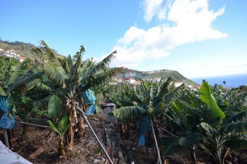 Helårsgrund i Calheta, Madeira, Calheta - € 75.000 | Ref: 005065 - foto 3