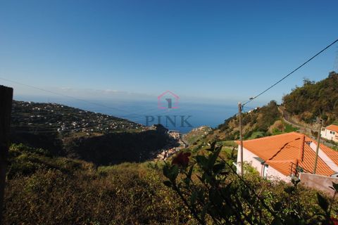 Villa i Ribeira Brava, Madeira, Ribeira Brava - € 165.000 | Ref: 006387 - foto 2