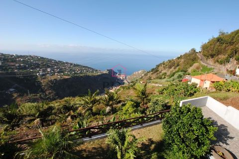 Villa i Ribeira Brava, Madeira, Ribeira Brava - € 165.000 | Ref: 006387 - foto 7