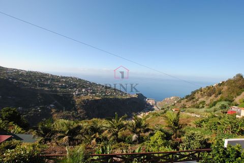 Villa i Ribeira Brava, Madeira, Ribeira Brava - € 165.000 | Ref: 006387 - foto 11