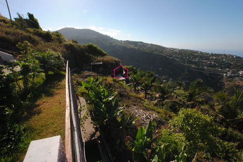 Villa i Ribeira Brava, Madeira, Ribeira Brava - € 165.000 | Ref: 006387 - foto 28