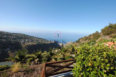 Villa i Ribeira Brava, Madeira, Ribeira Brava - € 165.000 | Ref: 006387 - foto 31