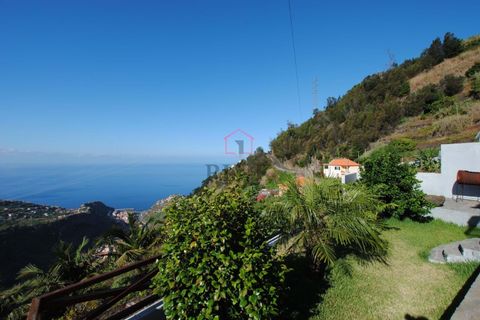 Villa i Ribeira Brava, Madeira, Ribeira Brava - € 165.000 | Ref: 006387 - foto 34